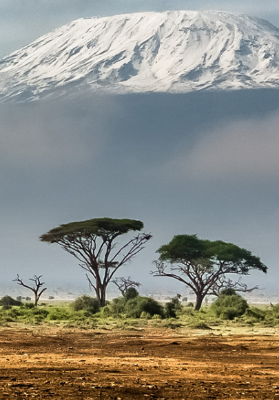 Some light greenery in a baron land with a white-capped mountain in the background